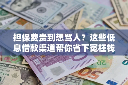 济南担保费贵到想骂人？这些低息借款渠道帮你省下冤枉钱