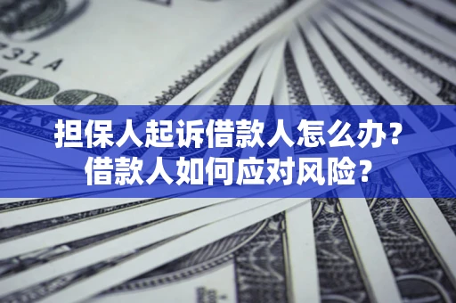 济南担保人起诉借款人怎么办？借款人如何应对风险？